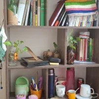 لوستر سه شاخه چوبی و کتابخانه چهار طبقه دردار|لوستر و چراغ آویز|تهران, تهرانپارس شرقی|دیوار