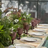 ظروف کرایه/تشریفات/تولد پایتخت