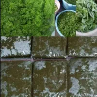 سبزی رامهرمز|خوردنی و آشامیدنی|شاهینشهر, شهرک میلاد|دیوار