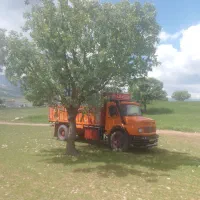 شراکت