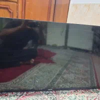 تلویزیون ینوا ضربه