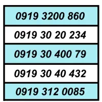 0919.8.9.1.0206|سیم‌کارت|تهران, امام حسین|دیوار