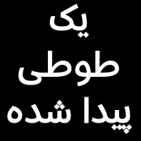 یک طوطی پیدا شده