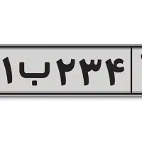 پلاک پیداشده