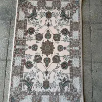 فروش تعداد زیادی پادری ب قیمت عمده در بندرعباس|پادری|بندرعباس, |دیوار