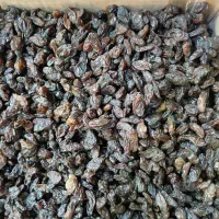 بهترین و با کیفیت ترین محصول آبگیری