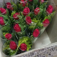 گل رز طبیعی باشیشه استوانه ای