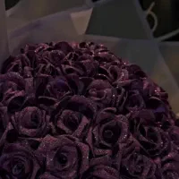 گل جاودان|گل و گیاه طبیعی|ساوه, |دیوار