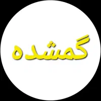 یک عدد کیف پول زنانه گمشده