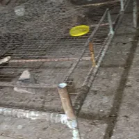 سلام یک تخت بزرگ ۲متر در ۳ متر به عبارت ۶ متری|تخت و سرویس خواب|امیدیه, |دیوار