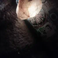 سنگ قیمتی|جواهرات|نورآباد, |دیوار