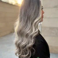 خدمات لایت حرفه ای( مدل رایگان)