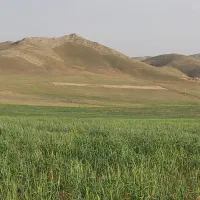 زمین فیروزکوه سدنمرود فقط متری 650 هزارتومان