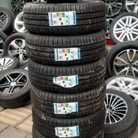 لاستیک دولـتی