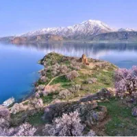 تور وان ویژه بلک فرایدی