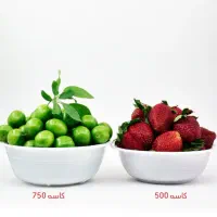 ظروف  ماستی و انواع کاسه