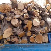 خریدار انواع چوب به صورت نقدی
