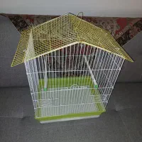 معاوضه با مرغ و خروس و غاز و قوغاز