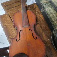 ویلن قدیمی Parrot