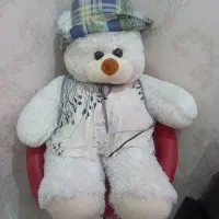 خرس پولیشی