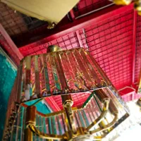 لوستر ۶ ضلعی کریستالی|لوستر و چراغ آویز|کرمان, |دیوار
