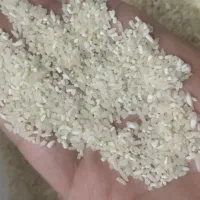 برنج ایرانی لاشه ( نیم دانه ) طارم خوش عطر و طعم|خوردنی و آشامیدنی|مشهد, شهید آوینی|دیوار