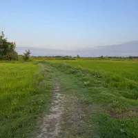 شالیزار سنتی با شرایط پرداخت مالک هستم