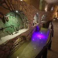 استخدام عکاس مجرب