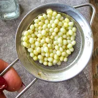 تخم حلزون به تعداد بالا