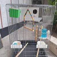 قفس طوطی با وسایل