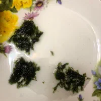 خزه اکواریوم|ماهی|تهران, نظامی گنجوی (توانیر)|دیوار