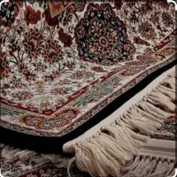 قالیشویی(شهرفرش‌گیلان)مجهزبه‌دستگاه‌بروز|خدمات نظافت|رشت, حمیدیان|دیوار