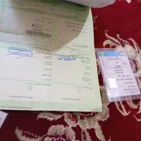 موتور 125 مدل 90  خشک|موتورسیکلت|زرین دشت (فارس), |دیوار