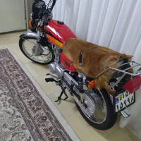 رهرو 125|موتورسیکلت|ملارد, |دیوار