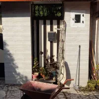 نقاشی ساختمان|خدمات پیشه و مهارت|قائم‌شهر, |دیوار