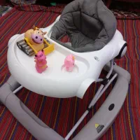 روروئک طوسی سفیددلیجان