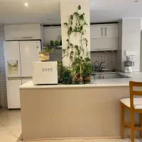 95 ونک ولیعصر پارک ساعی دو خوابه