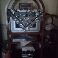 میزباتلوزون هردو باهم 3ملون