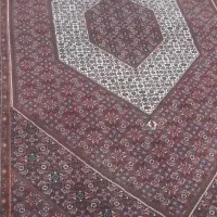 فرش دستباف|فرش|زنجان, |دیوار