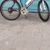 دوچرخه ۲۶ تنه آلمینیوم حرفه ای