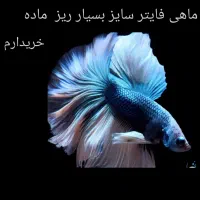 خ ر یدار  فایتر سایز بسیار ریز