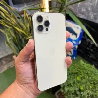 آیفون 12 پرو گلد ، پک اصلی