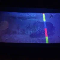 پول های ونزوئلا و کیپ لاوس