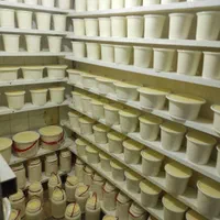 تولید ماست سنتی دوغ کشک سرشیر کره