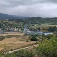 گردو