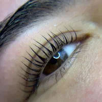 کاشت موقت مژه/ لیفت و لمینت مژه و ابرو|خدمات آرایشگری و زیبایی|تهران, شمیراننو|دیوار