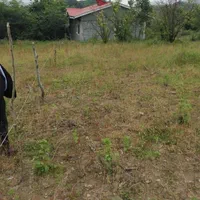 281متر داخل طرح واقع در لاهیجان روستای آزارستانگی