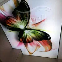 سقف کشسان و لاین نوری|مصالح و تجهیزات ساختمان|قم, بنیاد|دیوار