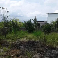 زمین مسکونی با بر زیاد ۳۴۰ متری جنگلی محمودآباد|فروش زمین و ملک کلنگی|محمودآباد, |دیوار