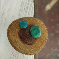 زمرد پنچ شیر